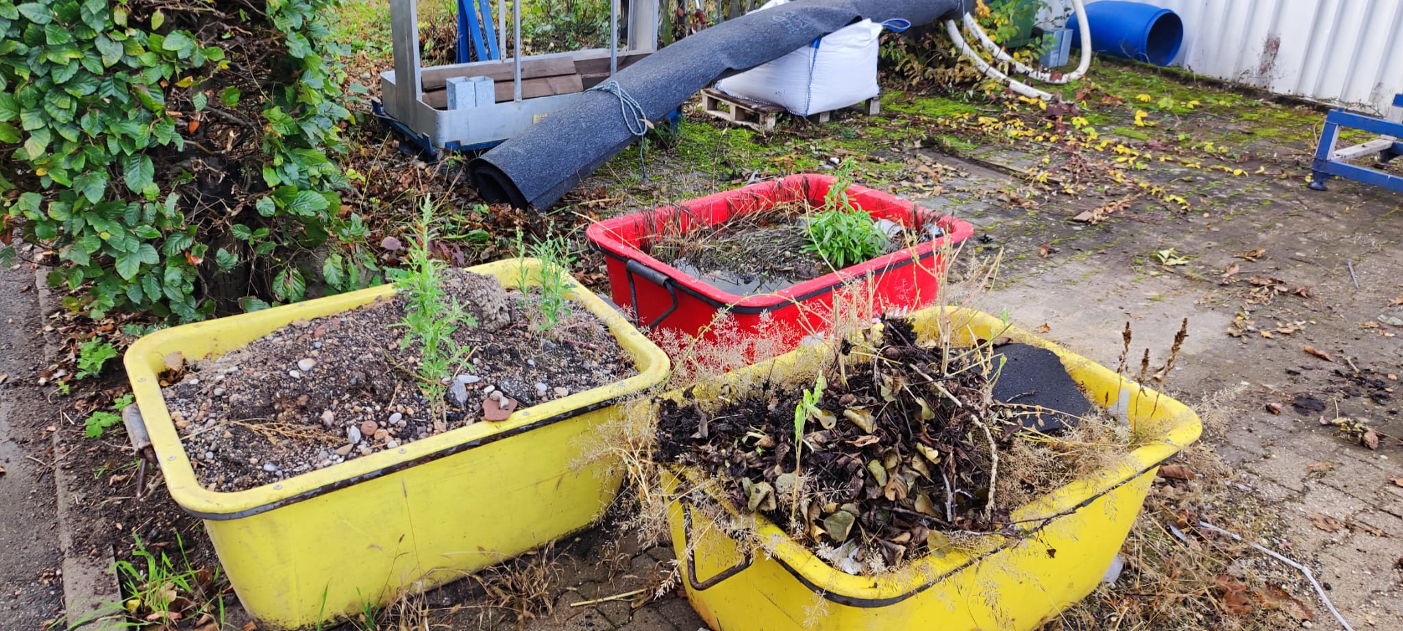 PHOTO-2026-01-19-07-11-08